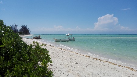 passion island beach