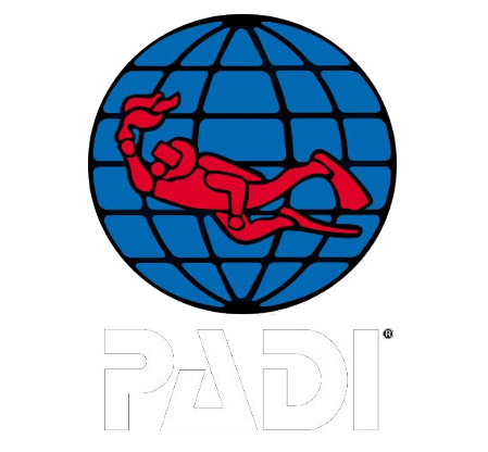 PADI logo