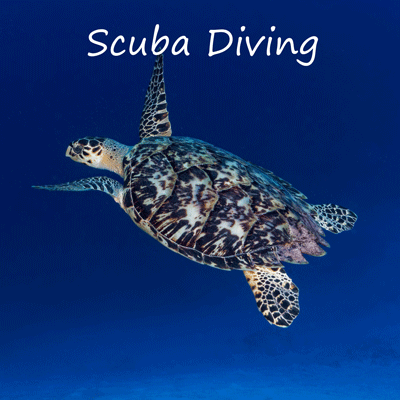 scuba diving image