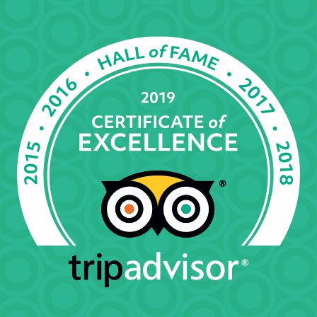 tripadvisor logo